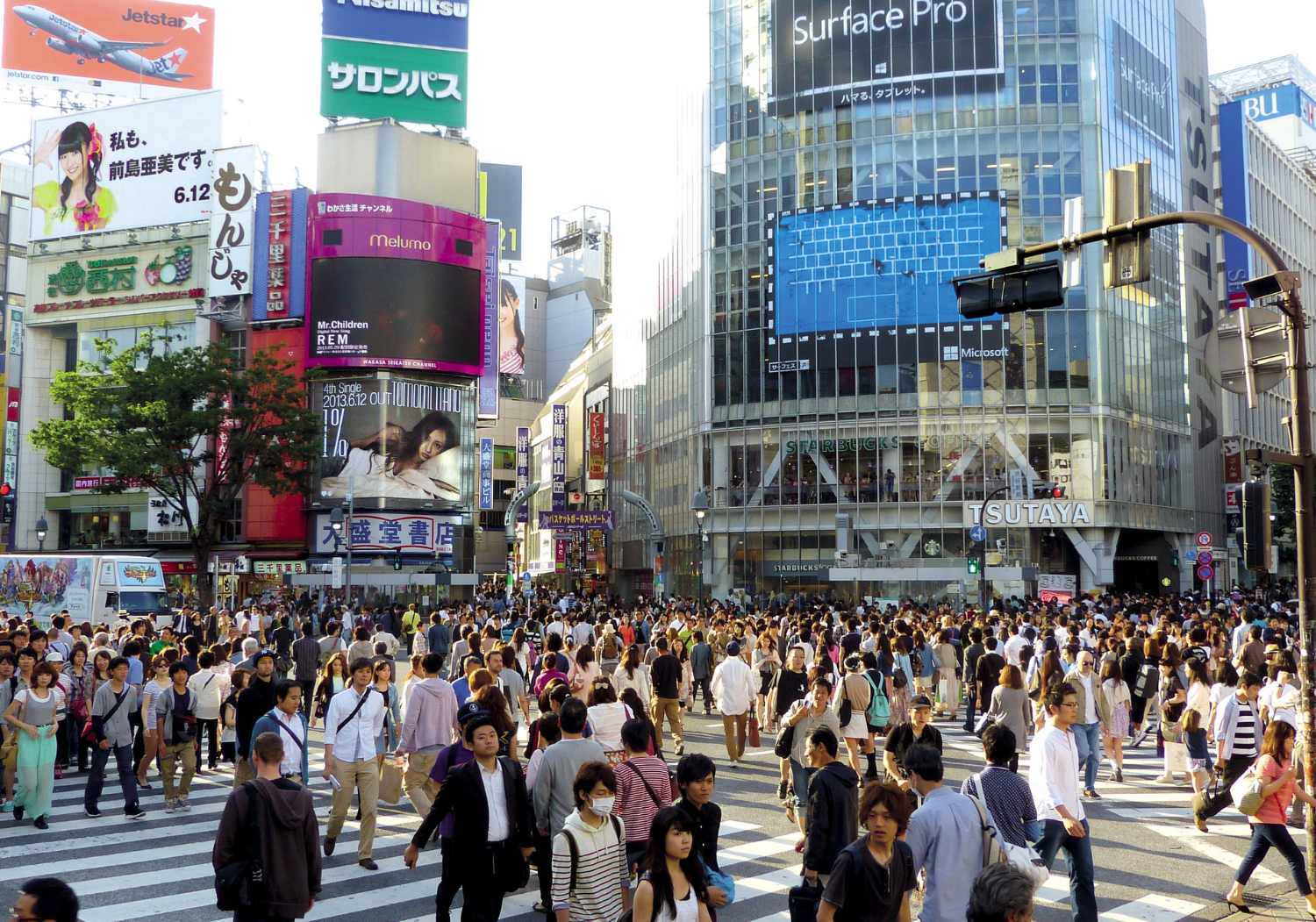 Shibuya + Harajuku + Shinjuku