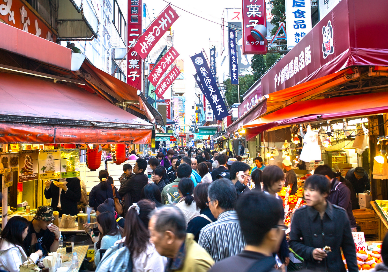 Ameyoko + Yanaka + Nezu Shrine
